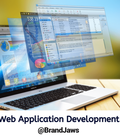 Web Application Development for Beginners